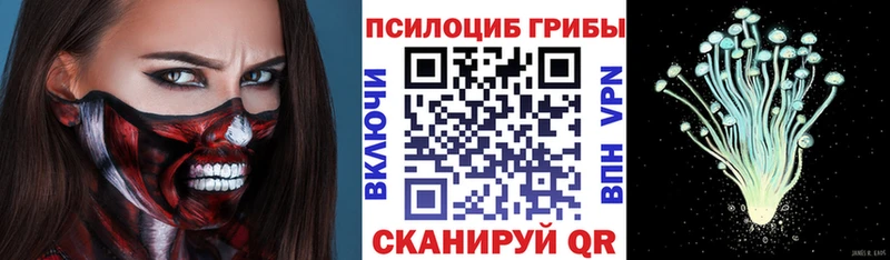 Галлюциногенные грибы мухоморы  Купить закладки  Полесск 